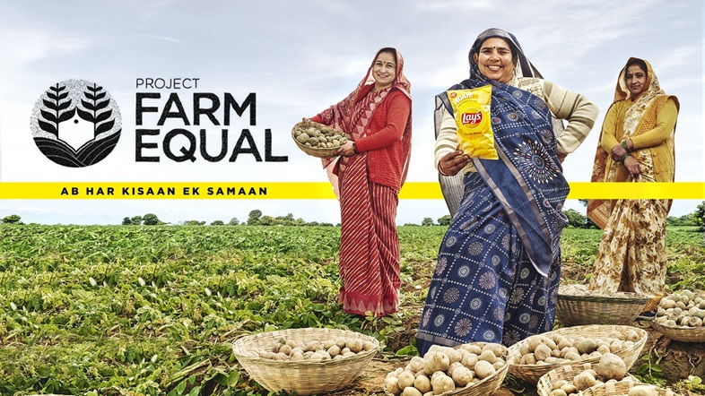 Project Farm Equal