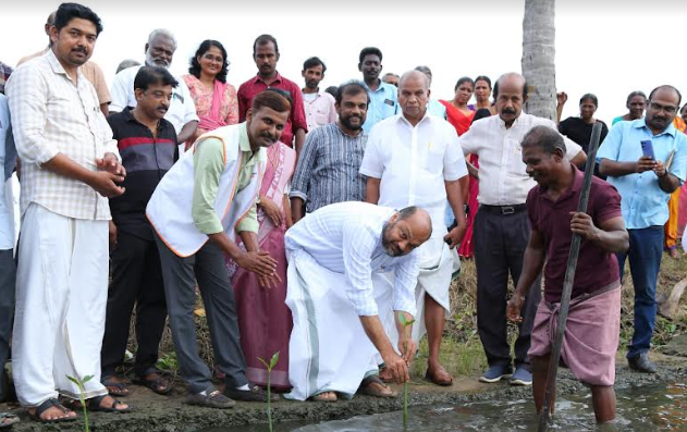 World Environment Day with Mangrove Planting Initiative