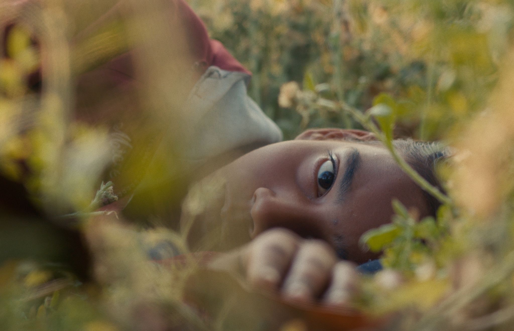 8fe9cf4c-5261-4464-94dd-14436f178bb8