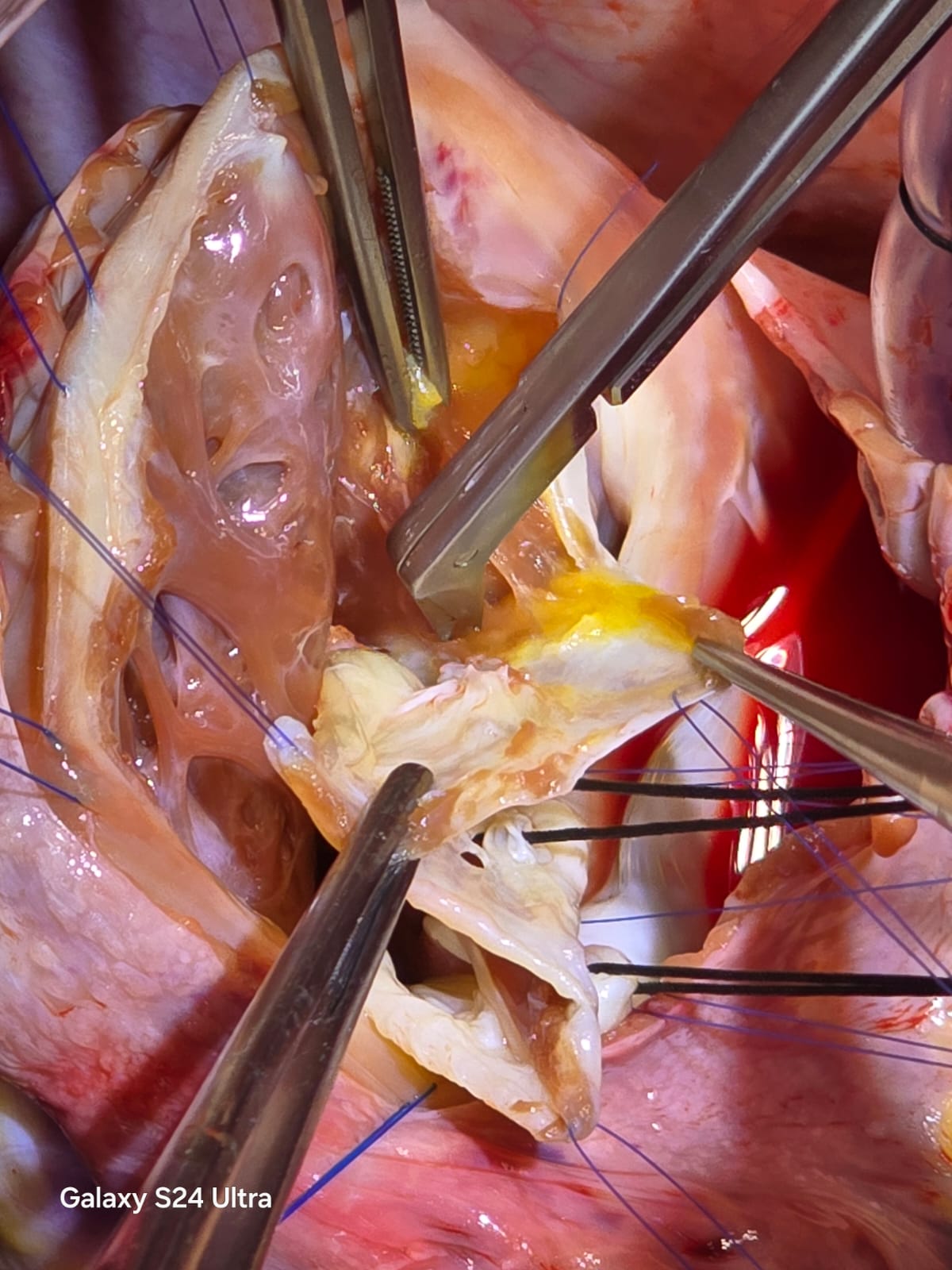 WhatsApp Image 2026-01-02 at 10.44.39