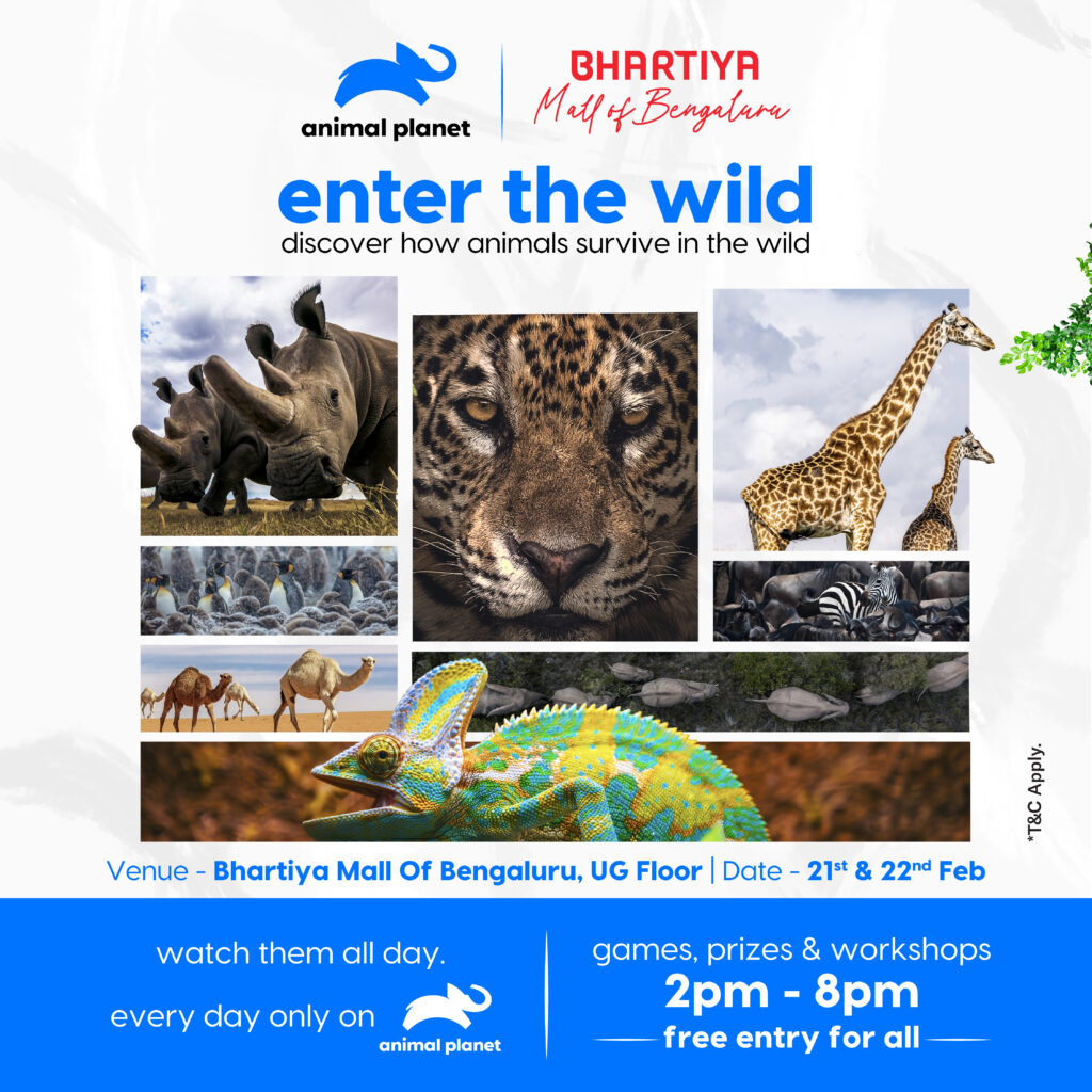 Bhartiya Mall of Bengaluru Brings the Wild to Life with ‘Enter the Wild’ — A Pet-Friendly Experiential Event Curated with Animal Planet

